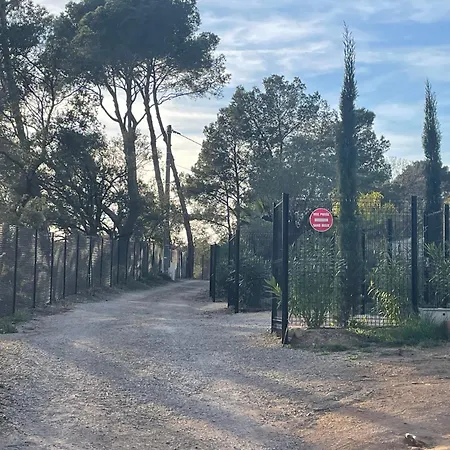 La D Isa * La Motte (Var)